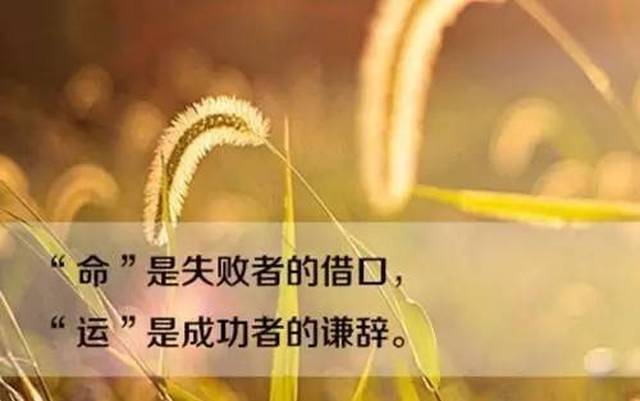 【励志】累是人生必经之路/虽累犹生,跆拳道训练就是如此这般