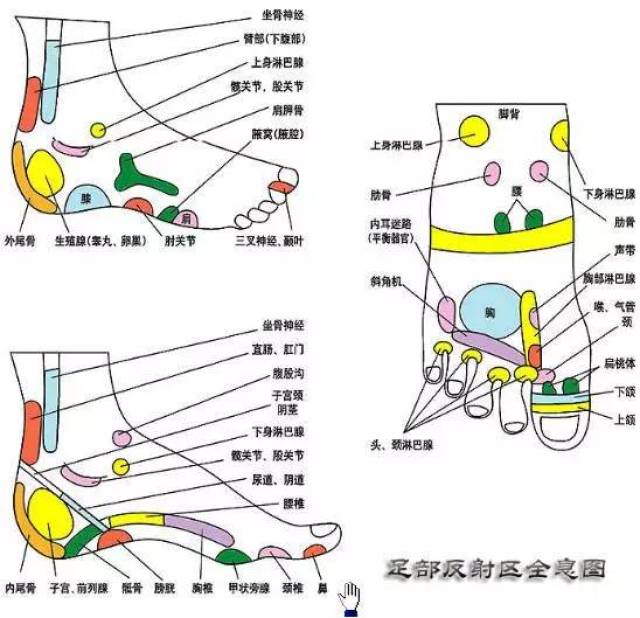 脚部穴位,反射示意图(高清)