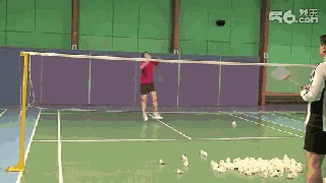 掌握羽毛球步法四原则五招式,让你轻松吊打对手