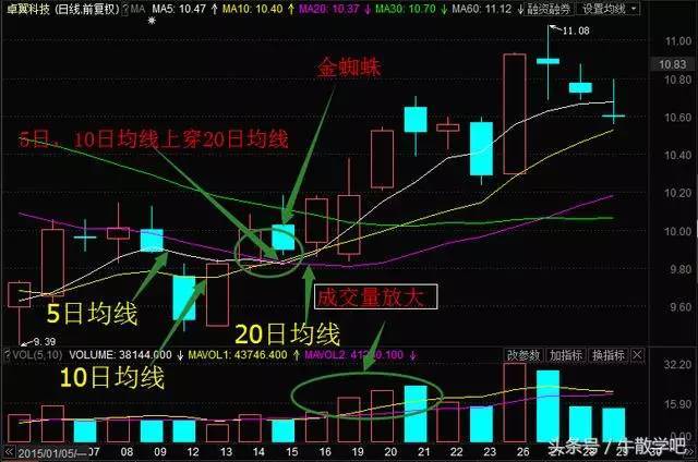 "金蜘蛛"均线形态很简单,而且很早就有理论给予支持.