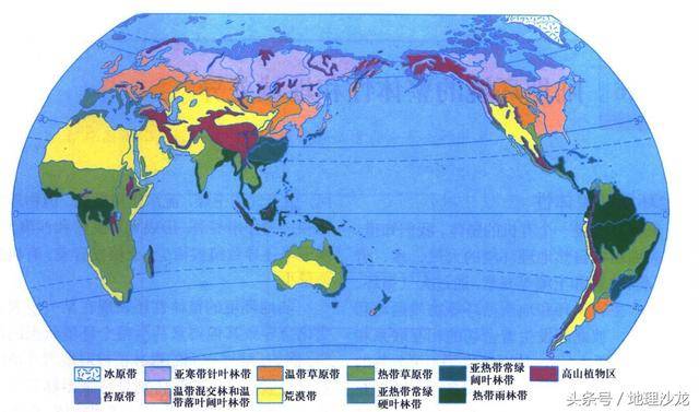 亚热带常绿阔(硬)叶林带,温带落叶阔叶林带,亚寒带针叶林带等