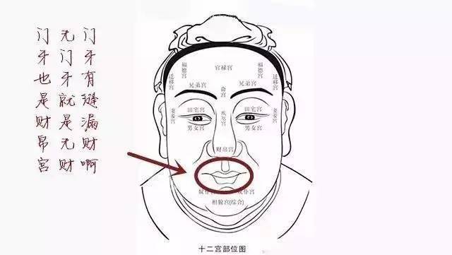 中国人喜欢看面相,在这方面颇有研究,认为只要把握规律即可从面部