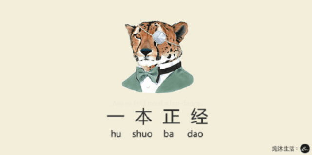 那是一本正经的胡说八道!_手机搜狐网