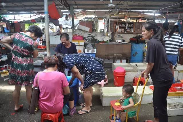 上午十时许,码头附近的新湾旧渔港海鲜市场,还没到"煮饭婆"出门行动的