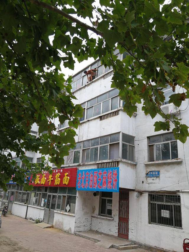 男子全裸站阳台被疑暴露狂 背后真相却令人心酸