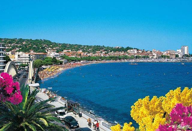 东部沿海最好旅游城市:大连、青岛、上海、厦