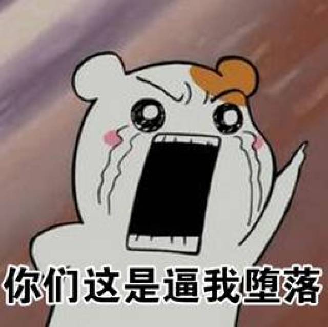 1e2414b0fbf6461596bf5d55272f6afa.jpeg