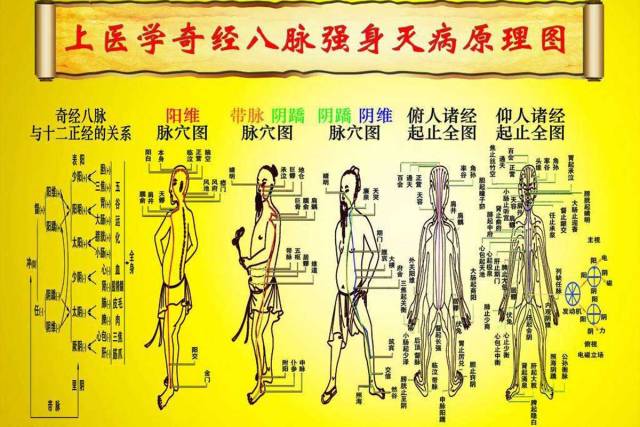 任督二脉与十二经脉在人体中究竟发挥着什么作用呢