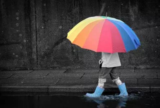 我的城市下雨了,你那儿呢?