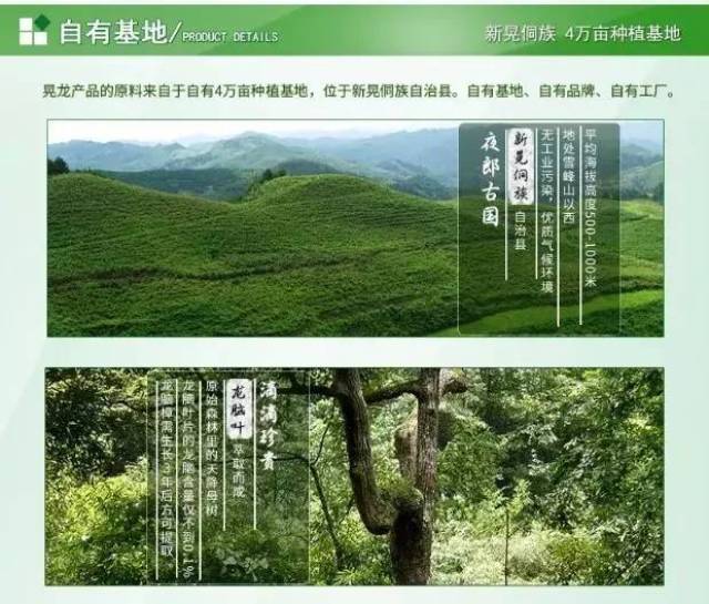 6万支新晃龙脑产品走出国门 远销澳大利亚!