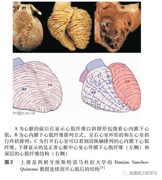 右心室-从解剖, 病生理到临床实践