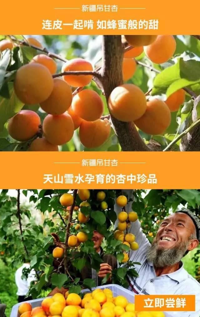 细 果肉特别细腻,丝毫没有纤维感. 3.