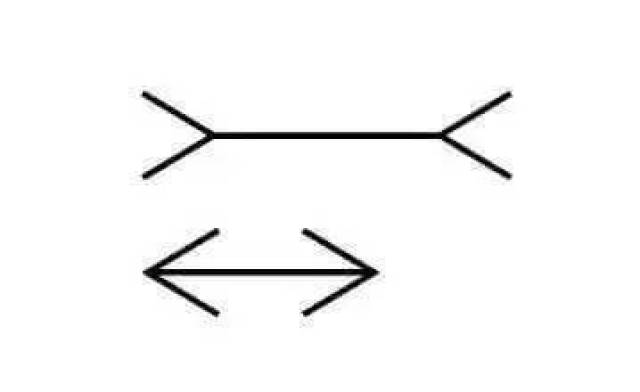 【1001趣闻】数学界5大著名错觉图,99%的人会看错!试试你能看出来吗?