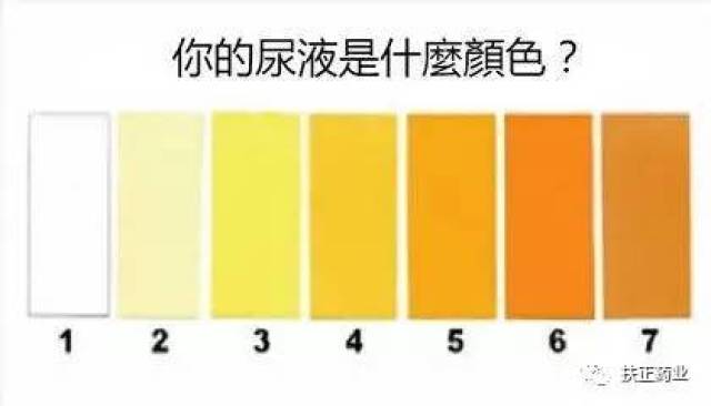 正常人新排出尿液多透明,淡黄色或黄色,但如果出现尿液颜色变深发红