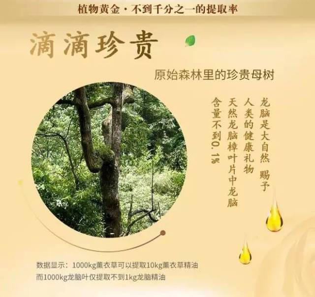6万支新晃龙脑产品走出国门 远销澳大利亚!