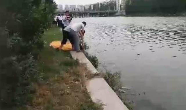 事发枣阳!同一地点,浮起两具女尸