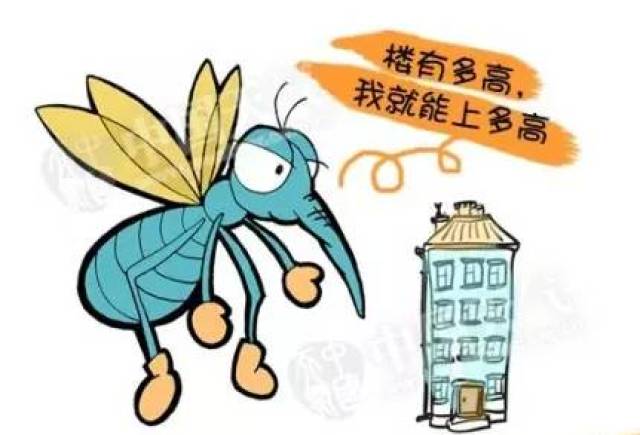 世界……蚊子日 | 你为什么招蚊子?跟血型有关吗