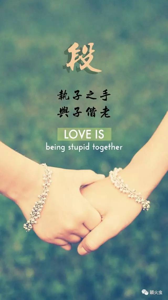 用你的姓,做手机壁纸:执子之手,与子偕老!