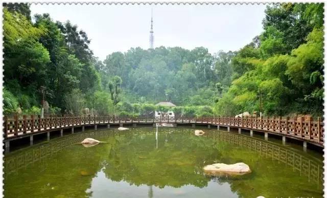 公园位于梅州市蕉岭县,以良好的森林环境为依托,以悠久历史文化为特色