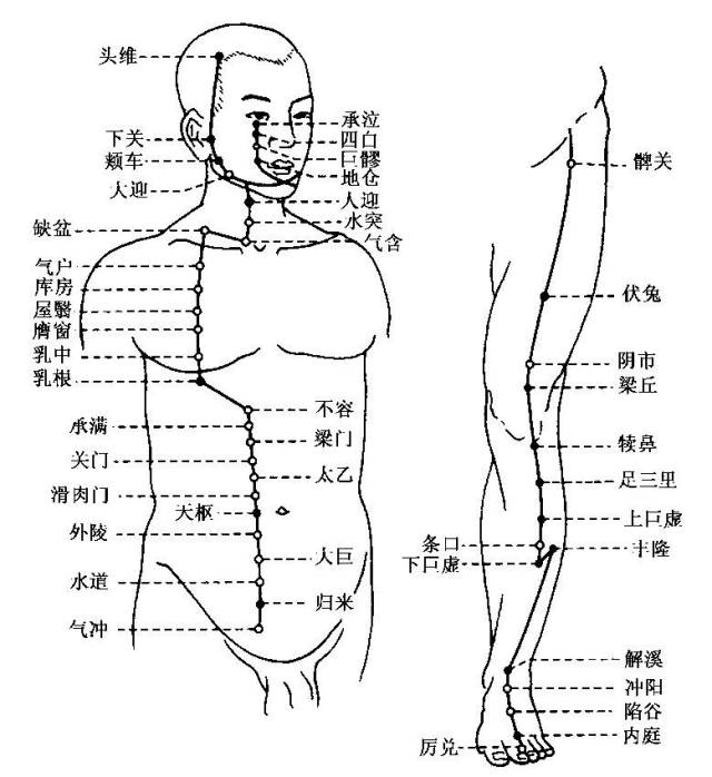 而后下行大腿前侧,至膝髌沿下肢胫骨前缘下行至足背,入足第二趾外侧端