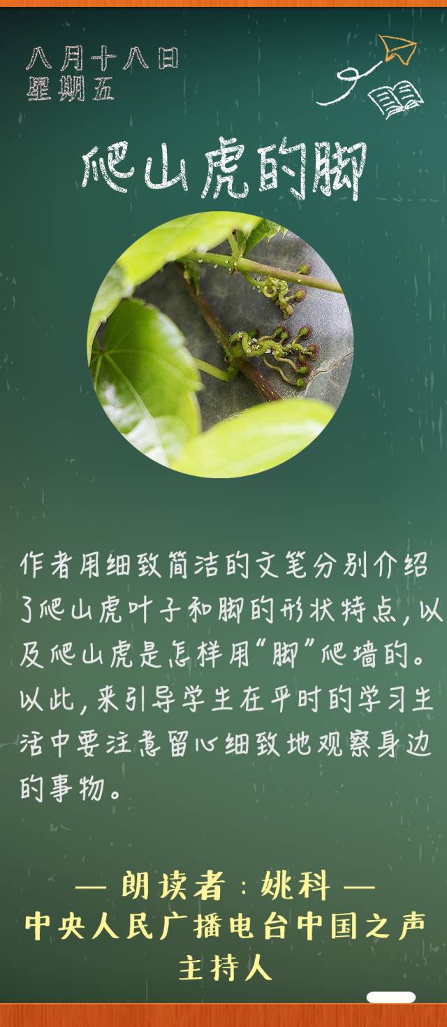 爬山虎的脚丨那些年我们一起读过的课文