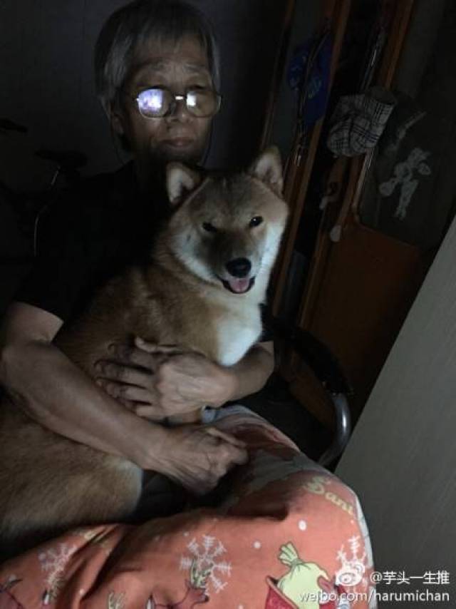 e79391abf2b74b668f211266733c0b15.jpeg