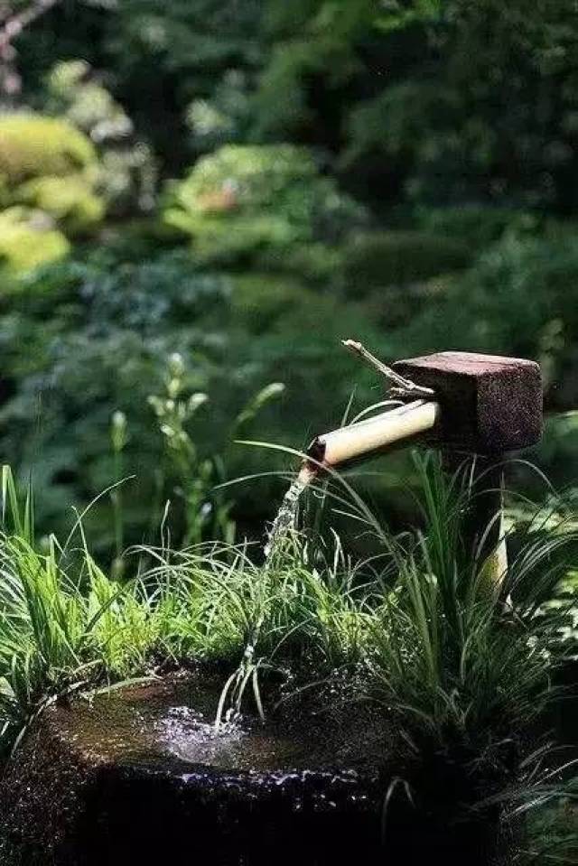 身本菩提树,心如明镜台,时时勤拂拭,勿使惹尘埃.