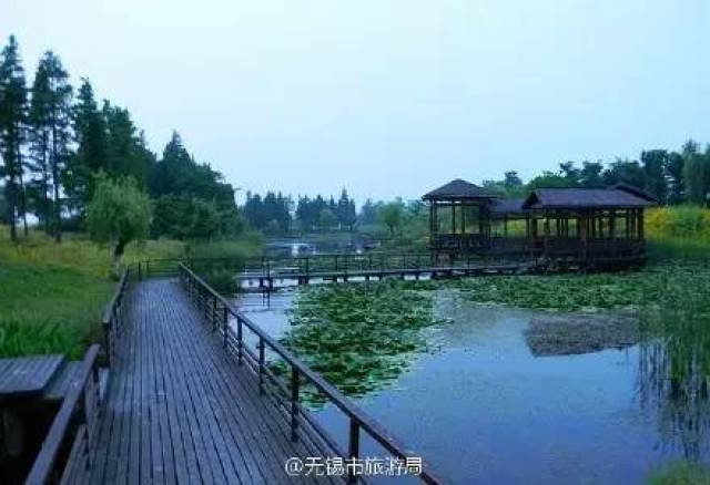 江阴市芙蓉湖湿地公园