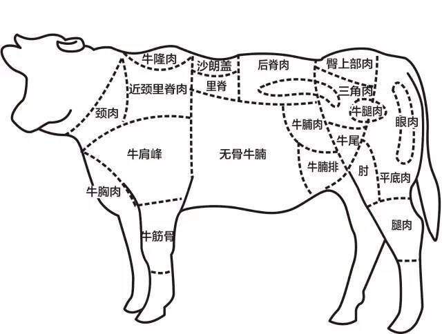 粤菜牛肉分割部位图  酱牛肉(元宝腱)