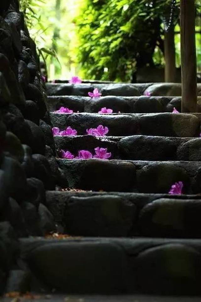 都知落花意,谁晓流水心!