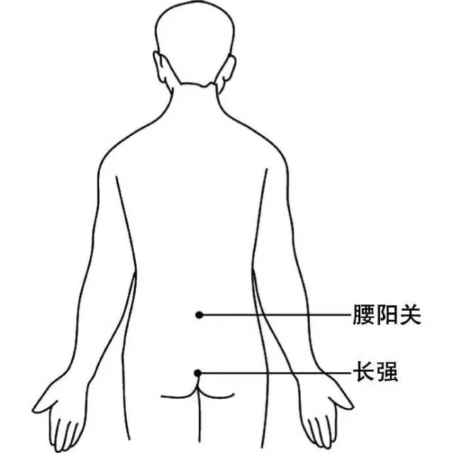 尾骨尖端与肛门连线的中点处) 图11 腰阳关,长强穴位置 在运用上述