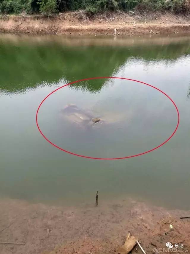 北仑水库捞起一辆沉车,内有车主遗骸。他