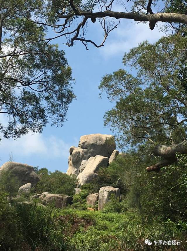 本协会会长多次与平潭旅游集团旗下的南寨山景区方面沟通关于景区荒芜