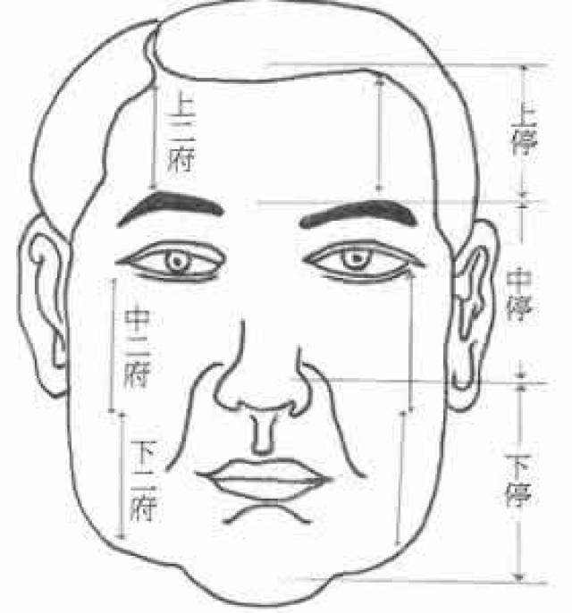 看面相算命系列:面相三停六府详解