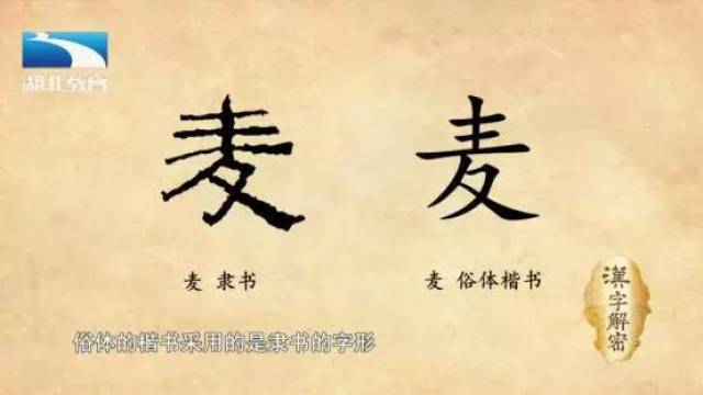 麦字的金文和小篆都基本继承了甲骨文的字形.