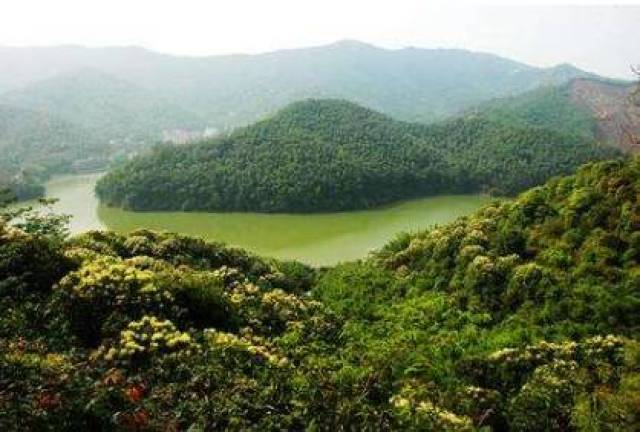 洛阳周边这9大露营地已经美炸!赶紧出发,满天星星等着