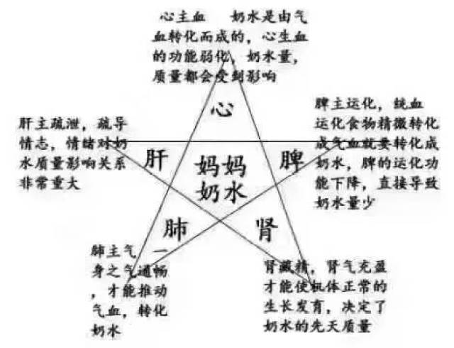 女人怀孕后,肚子里的五脏六腑都去哪了.