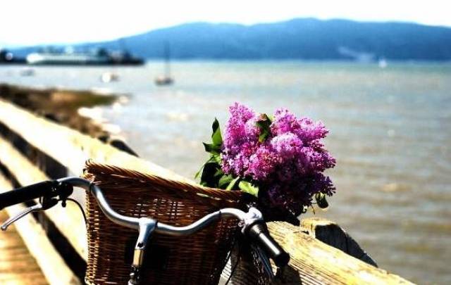 张小娴:永不永不说再见