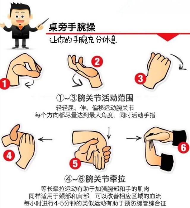 正常人体解剖学 认识自己人体六大关节之腕关节