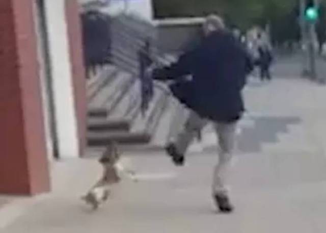 他先是一脚抬起狠狠地踢向了狗狗的头部