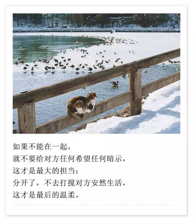 日久见人心 爱久知己心 有时候 爱情就是欠些火候 所以一直等不到
