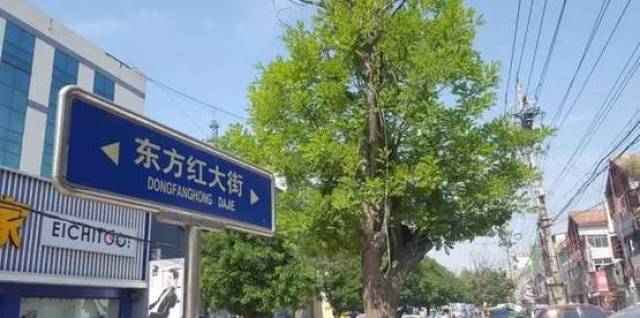 菏泽:东方红大街新夜市即将开启!