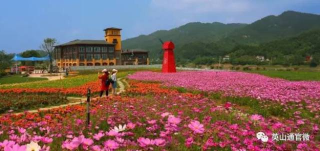 《行走》| 大美英山,四季花海.