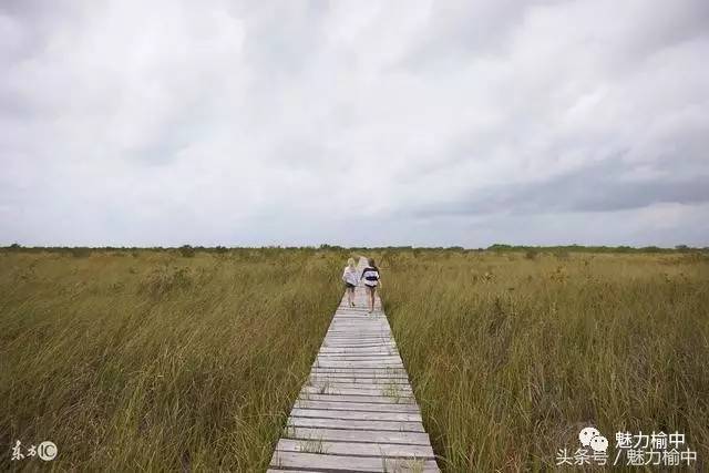 坎坎坷坷的是路,永不停歇的是脚步