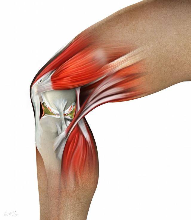 急性膝关节韧带损伤:韧带损伤后膝关节不稳定,股骨与胫骨之间出现
