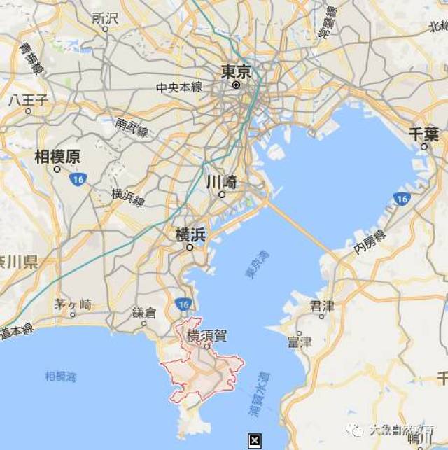 8月5日,今天是一年一度横须贺美军基地的开放参观日,也是特别另小象