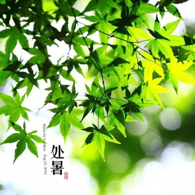 今日处暑 秋意浓,处暑新凉值万金
