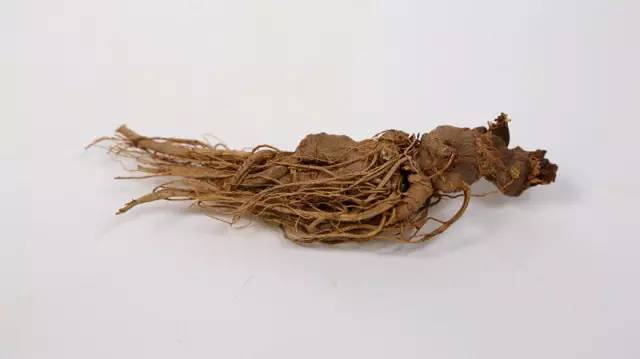 我们不得不痛心地向您揭秘"野生三七"!