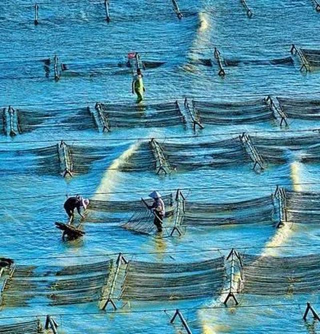 昨天《人民日报》8个版聚焦福建,提到平潭时是这么说的......