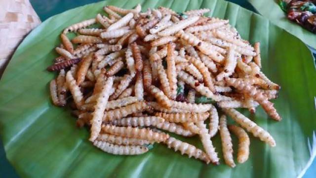 竹虫又叫竹蜂,多产于西双版纳州的竹林内,是云南少数民族的特色菜